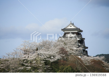 愛媛県大洲市 大洲城 愛媛県大洲市 大洲城 136919388