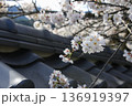 桜と屋根 136919397