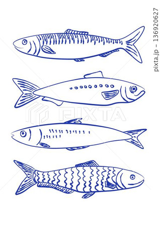 Collection of hand drawn sardine fish illustration in blue. Stylized set perfect for seafood packaging, retro labels, restaurant menus and nautical-themed designs Collection of hand drawn sardine fish illustration in blue. Stylized set perfect for seafood packaging, retro labels, restaurant menus and nautical-themed designs 136920627