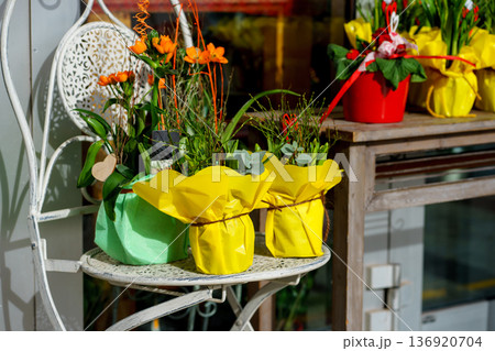 Decorative spring flower arrangements in bright paper wrapping displayed outside shop. Seasonal gift plants and festive garden concept. 136920704