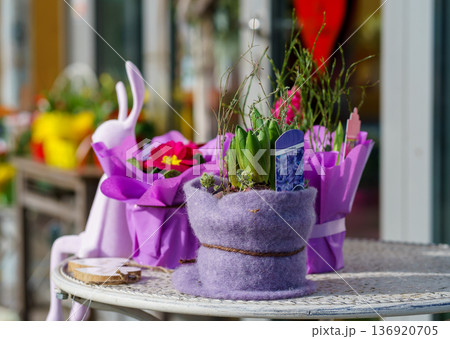 Festive spring flower pot featuring Hyacinthus orientalis and blooming primrose. Seasonal decor with pastel wrapping and Easter theme 136920705