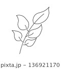 Elegant abstract branch plant  drawn by one line 136921170