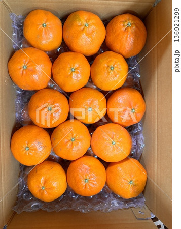 Fresh Jeju Island Sweet Tangerine Fresh Jeju Island Sweet Tangerine 136921299