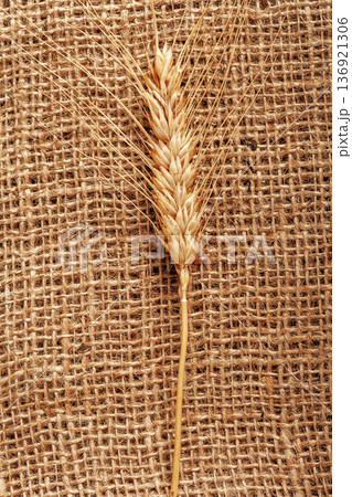 Wheat grain on burlap fabric displayed in a simple setting for food preparation 136921306