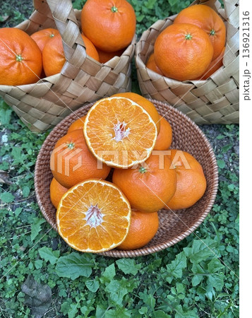 Fresh Jeju Island Sweet Tangerine Fresh Jeju Island Sweet Tangerine 136921316