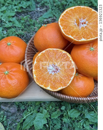 Fresh Jeju Island Sweet Tangerine Fresh Jeju Island Sweet Tangerine 136921323
