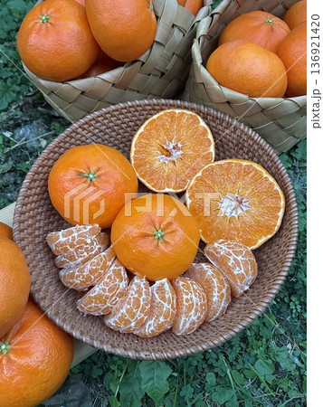 Fresh Jeju Island Sweet Tangerine Fresh Jeju Island Sweet Tangerine 136921420