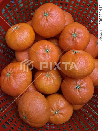 Fresh Jeju Island Sweet Tangerine Fresh Jeju Island Sweet Tangerine 136921430