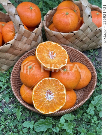 Fresh Jeju Island Sweet Tangerine Fresh Jeju Island Sweet Tangerine 136921431