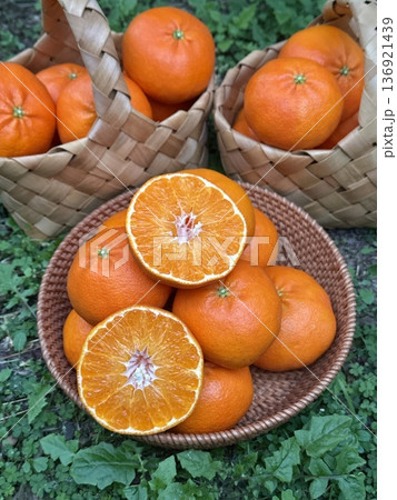 Fresh Jeju Island Sweet Tangerine Fresh Jeju Island Sweet Tangerine 136921439