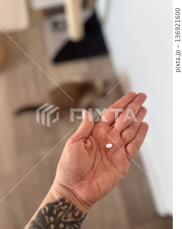 Female hand with white pill on room background. Medicine and antidepressant concept Female hand with white pill on room background. Medicine and antidepressant concept 136921600
