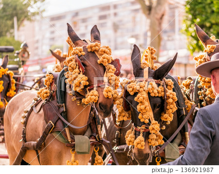 Elegant Horses Adorned for Seville April Fair Celebration Elegant Horses Adorned for Seville April Fair Celebration 136921987