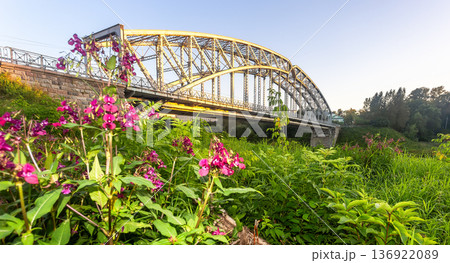 View on the steel arch bridge across the Msta river in summer in sunset light. Built in 1905. Borovichi, Russia 136922089