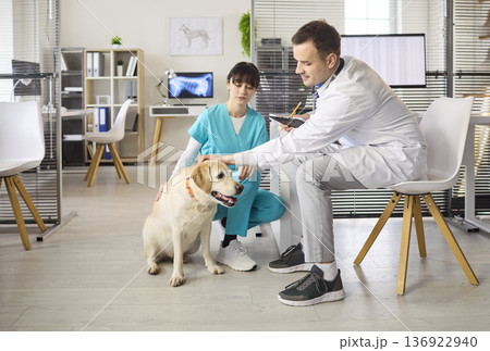 Veterinarian comforting labrador with nurse support during pet exam at clinic Veterinarian comforting labrador with nurse support during pet exam at clinic 136922940