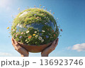 Hands lift a terracotta pot shaped like a verdant globe, its surface carpeted with grass and wildflowers 136923746