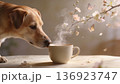 Steam rises from a ceramic cup on a sunlit table as a curious dog sniffs the aroma. 136923747