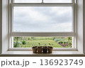 Four seedlings in biodegradable pots sit on a white windowsill of an open sash window 136923749