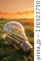 A glass lightbulb lies in a sunlit meadow at golden sunset, enclosing a miniature greenhouse 136923750