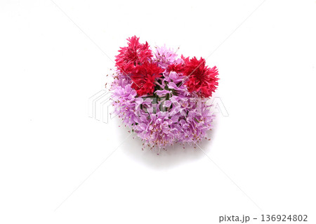 白背景のモナルダの花束 136924802
