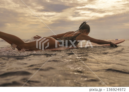 Young Female Surfer Paddles Vigorously At Sunrise With Determination Young Female Surfer Paddles Vigorously At Sunrise With Determination 136924972