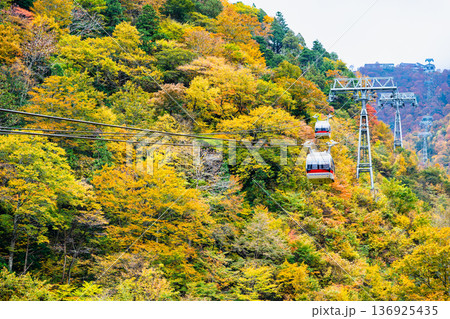 群馬 紅葉に染まる谷川岳 群馬 紅葉に染まる谷川岳 136925435
