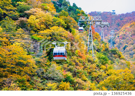 群馬 紅葉に染まる谷川岳 136925436