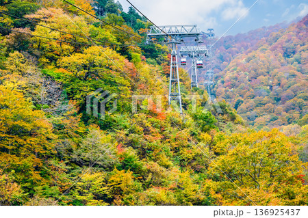 群馬 紅葉に染まる谷川岳 群馬 紅葉に染まる谷川岳 136925437