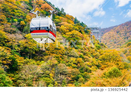 群馬 紅葉に染まる谷川岳 群馬 紅葉に染まる谷川岳 136925442
