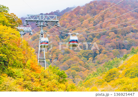群馬 紅葉に染まる谷川岳 群馬 紅葉に染まる谷川岳 136925447