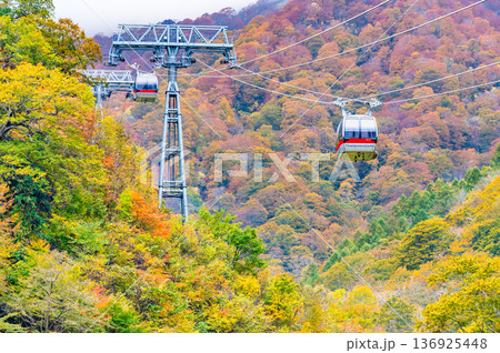群馬 紅葉に染まる谷川岳 136925448