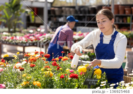 Young woman seller sprays flower buds Young woman seller sprays flower buds 136925468