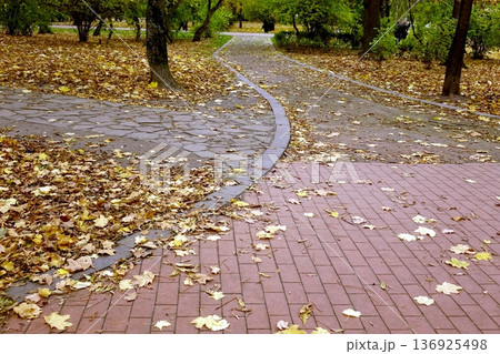 Walking Path in the Park Covered With Yellow Leaves During Autumn Season Walking Path in the Park Covered With Yellow Leaves During Autumn Season 136925498