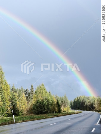 A bright rainbow over a forest road 136925686