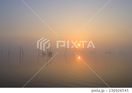 朝焼けの霧立つ風景 朝焼けの霧立つ風景 136926545
