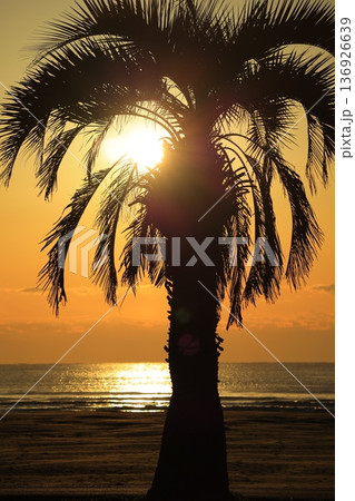 朝焼けに染まる海 136926639
