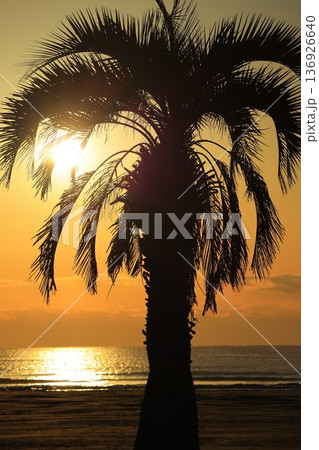 朝焼けに染まる海 朝焼けに染まる海 136926640