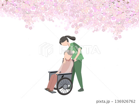 満開の桜の木の下を車椅子を押す顔がない介護士と老人が歩いているカラーイラスト 136926762