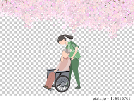 満開の桜の木の下を車椅子を押す顔がない介護士と老人が歩いているカラーイラスト 136926762