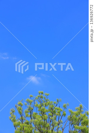 気持ちいい青空 気持ちいい青空 136926772