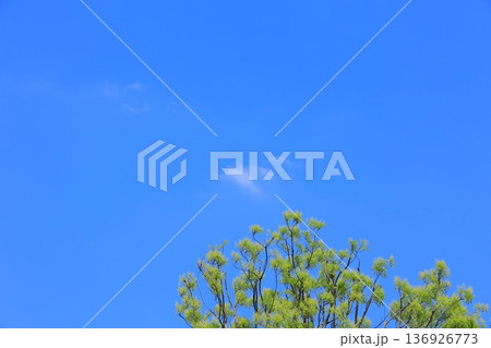 気持ちいい青空 気持ちいい青空 136926773