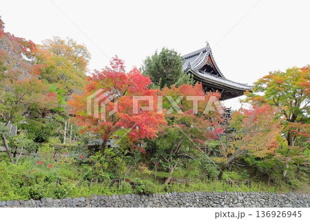 紅葉 山門のもみじ 紅葉 山門のもみじ 136926945