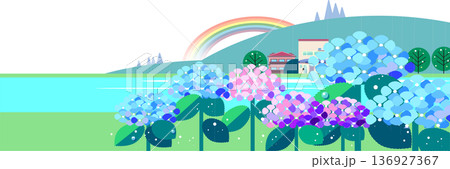 雨上がりの虹とアジサイが咲く初夏の風景イラスト 136927367