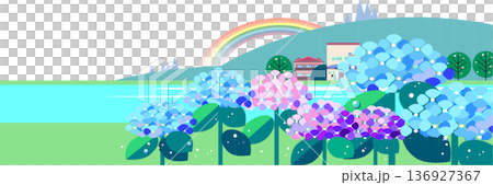 雨上がりの虹とアジサイが咲く初夏の風景イラスト 136927367