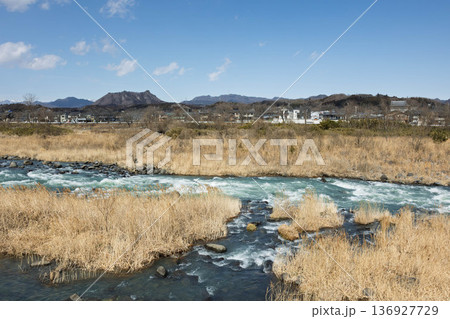 早春の吾妻川と中之条町の町並み 群馬県 早春の吾妻川と中之条町の町並み 群馬県 136927729
