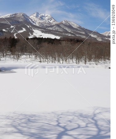 雪　いもり池　妙高 136928049