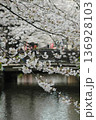 桜と高瀬川にかかる橋　京都 136928103