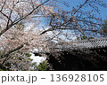 桜と瓦屋根　京都 136928105