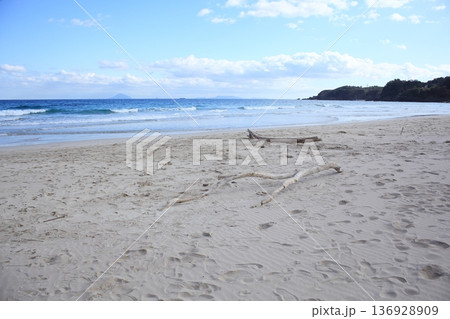 砂浜に打ち上げられた流木 136928909