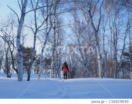 朝の雪の林を歩く登山者(afli20260222074837) 朝の雪の林を歩く登山者(afli20260222074837) 136929040