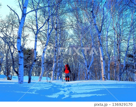 朝の雪の林を歩く登山者（afr20260222074837） 136929170